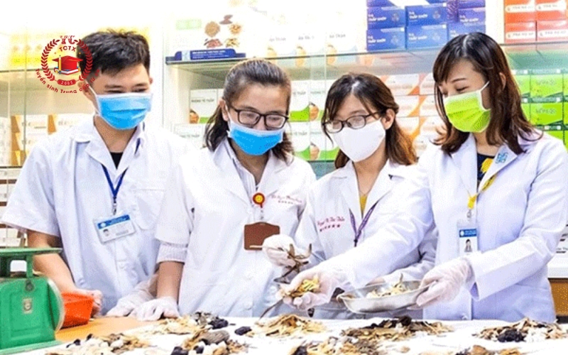 Học Trung cấp Y học cổ truyền ra trường làm gì?