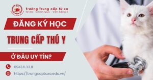Đăng ký học Trung cấp Thú Y uy tín