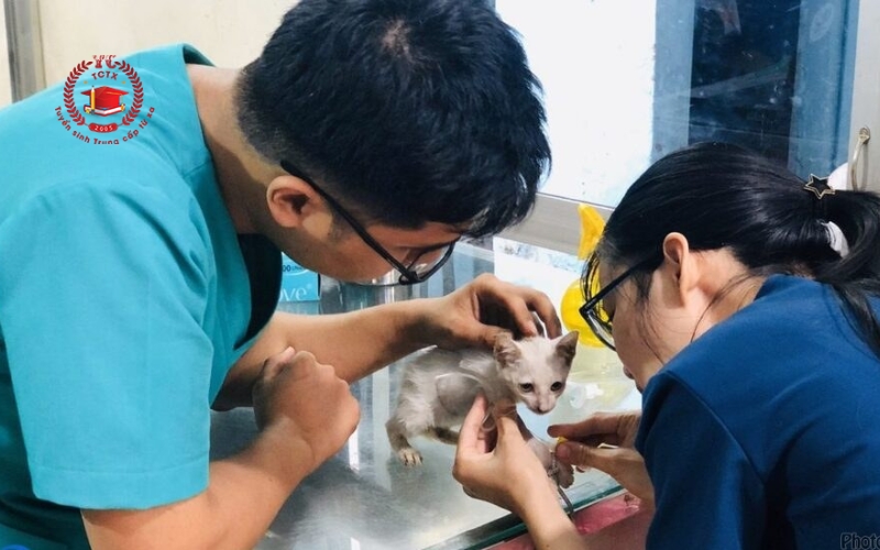 Thông tin tuyển sinh Trung cấp Thú y cấp tốc