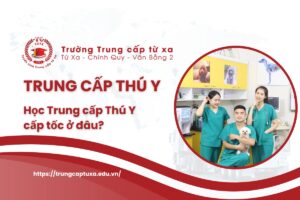 Trung cấp Thú y cấp tốc