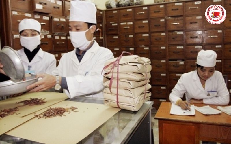Tại sao nên chọn học Trung cấp Y học cổ truyền tại Trường Trung Cấp Từ Xa?
