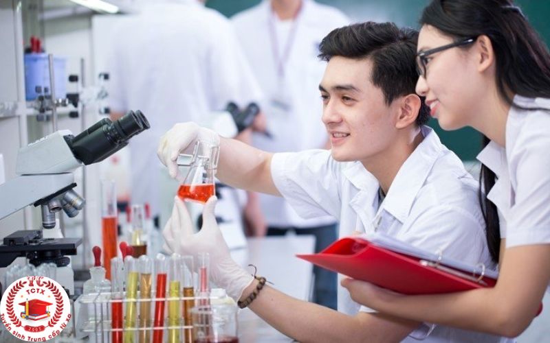 Triển vọng nghề nghiệp sau khi tốt nghiệp Trung cấp Dược trực tuyến