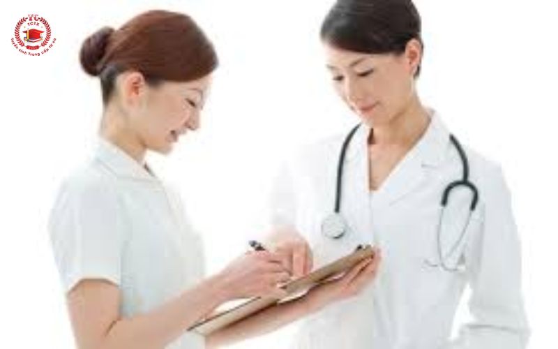 Bằng Y sĩ đa khoa được học những gì?