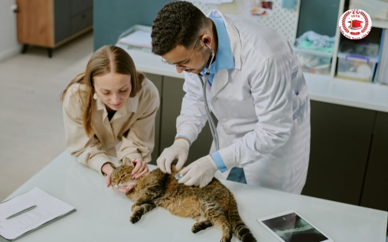 Học phí Cao đẳng Thú y có cao không?