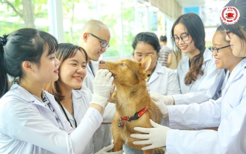 Học Trung cấp Thú Y bao lâu thì nhận bằng?