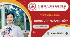 Thời gian học Trung cấp ngành Thú Y mất bao lâu?