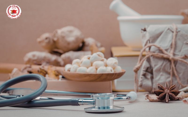 Vì sao người đi làm chọn ngành Y học cổ truyền nhiều vậy?