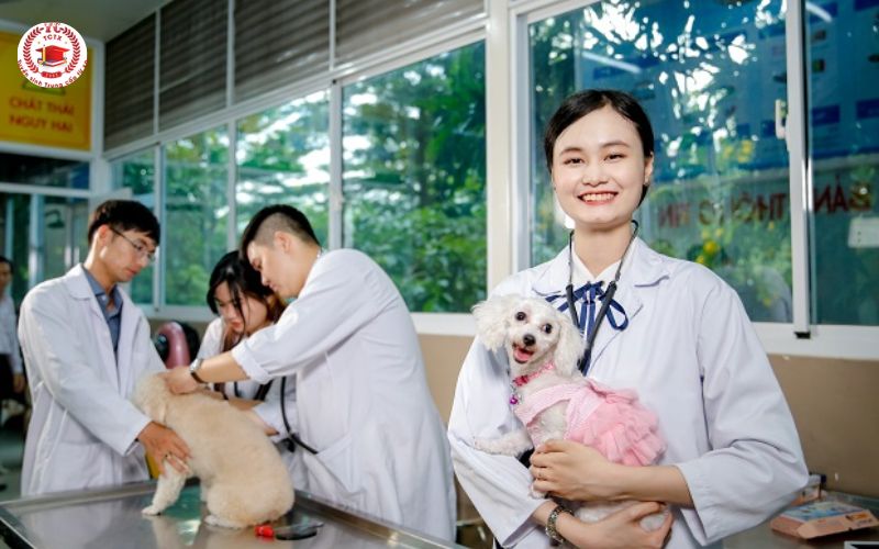 Vì sao nhiều bạn chọn học Cao đẳng Thú y thay vì Đại học?