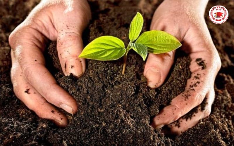 Học Trung cấp Trồng trọt Bảo vệ thực vật vừa học vừa làm