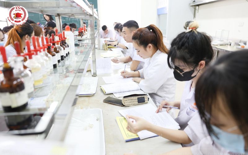 Ai nên học Trung cấp ngành Dược online miền Nam?