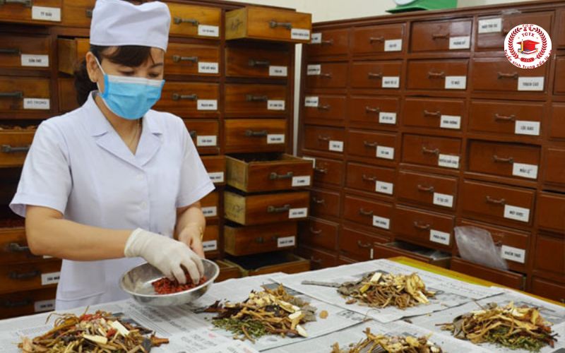 Bằng Trung cấp ngành Y học cổ truyền Cấp tốc có giá trị gì?