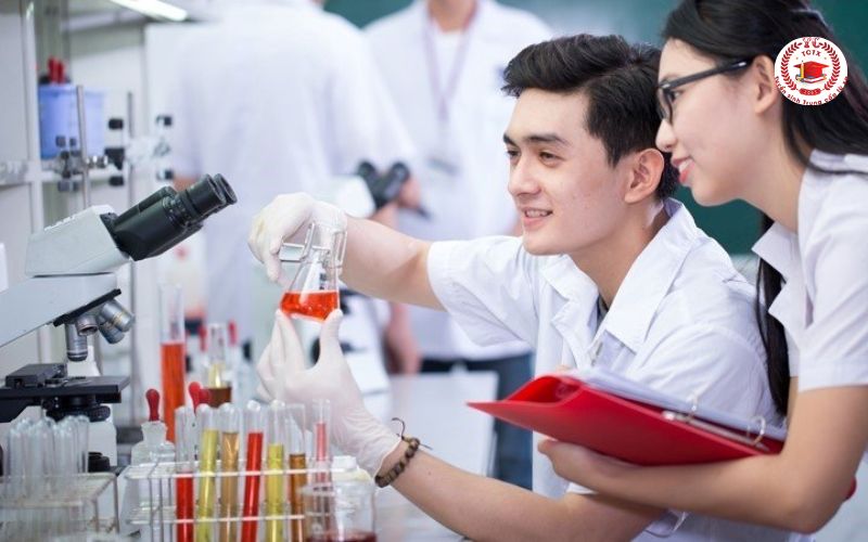 Học Dược xong làm gì?