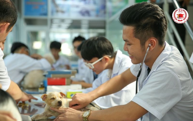 Học Trung cấp Thú Y online phù hợp với những ai?