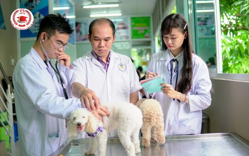 Thời gian học Trung cấp Thú Y online có lâu không?