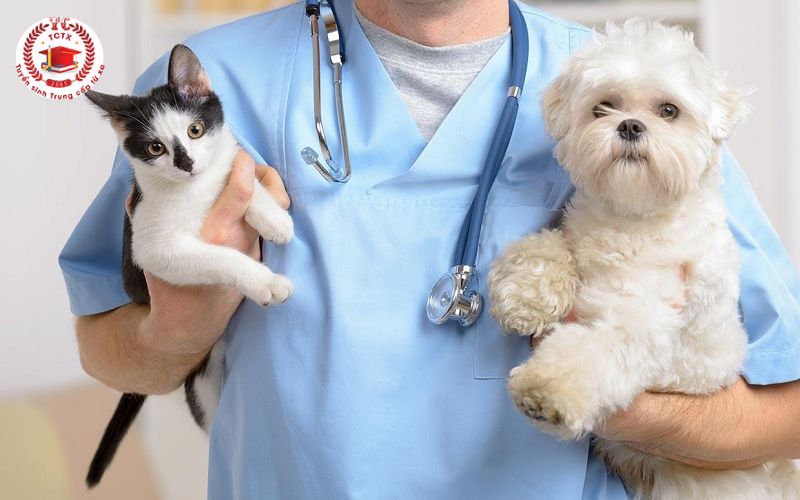 Trung cấp ngành Thú Y online là gì?