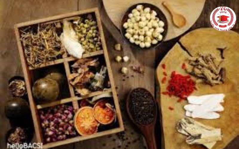 Y học cổ truyền Văn bằng 2 là gì?