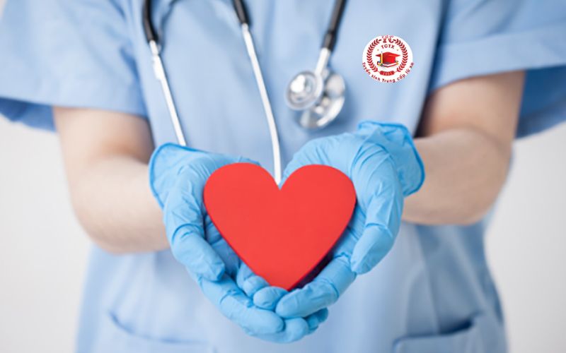 Các trường đào tạo Trung cấp Điều dưỡng