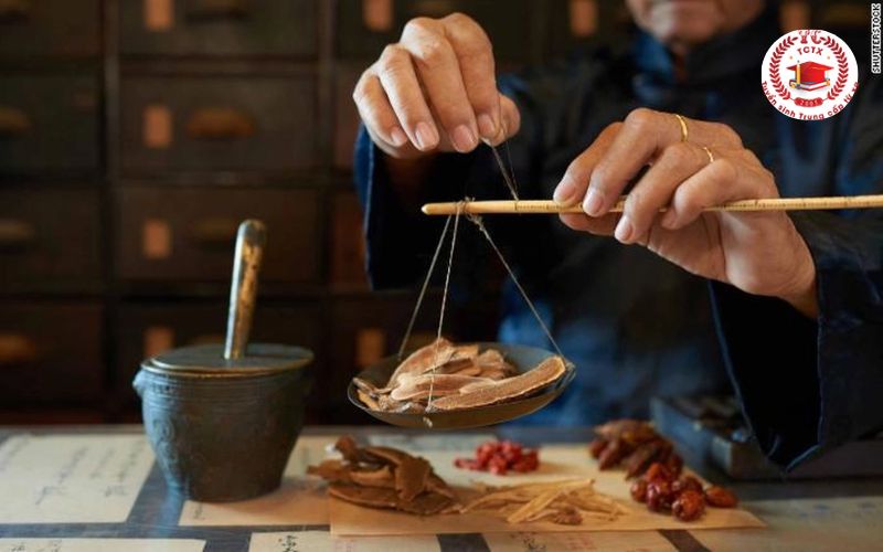 Liên thông Cao đẳng Y học cổ truyền