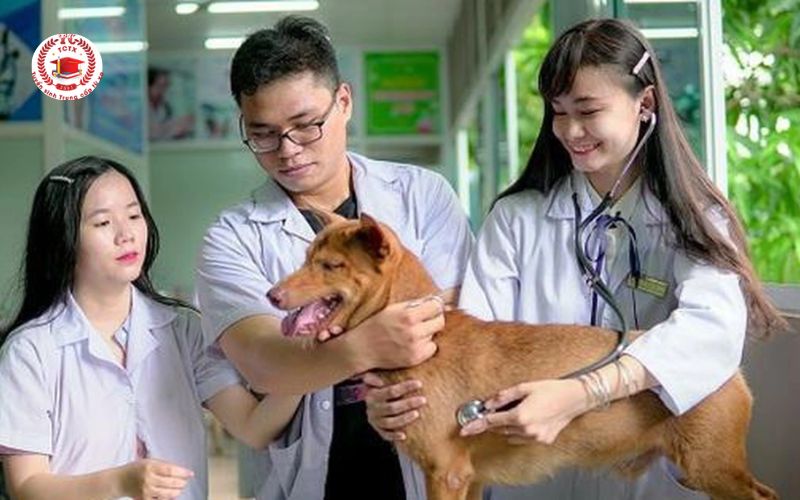 Học phí Liên thông Trung cấp lên Cao đẳng Thú Y