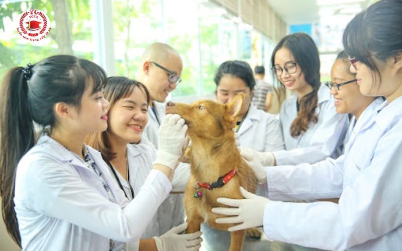 Thời gian học Liên thông Trung cấp lên Cao đẳng Thú Y