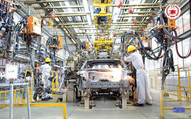 Trường đào tạo Công nghệ ô tô tại TPHCM có nhiều không?