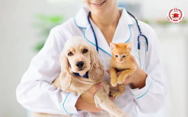 Chương trình đào tạo ngành Thú Y chuẩn Bộ học những gì?