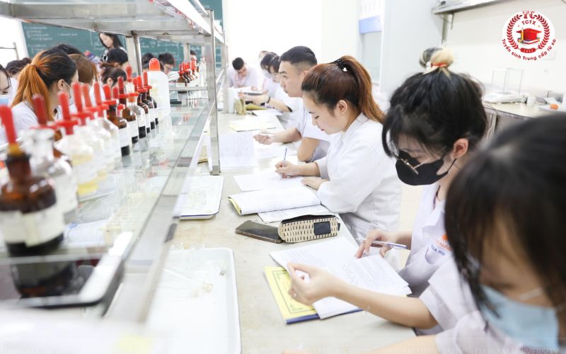 Học xong Liên thông Trung cấp lên Cao đẳng Dược ra làm gì?
