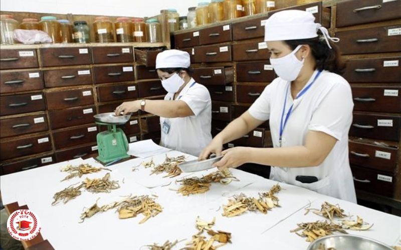 Liên thông Y học cổ truyền là học gì?