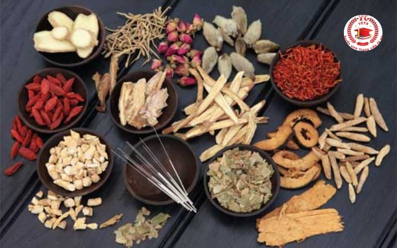 Vì sao nhiều người chọn học liên thông Y học cổ truyền?