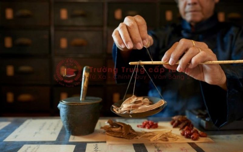 Cao đẳng Y học cổ truyền học online có bằng Chính quy