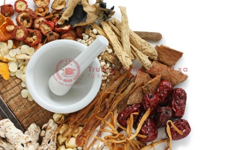 Cao đẳng Y học cổ truyền học online