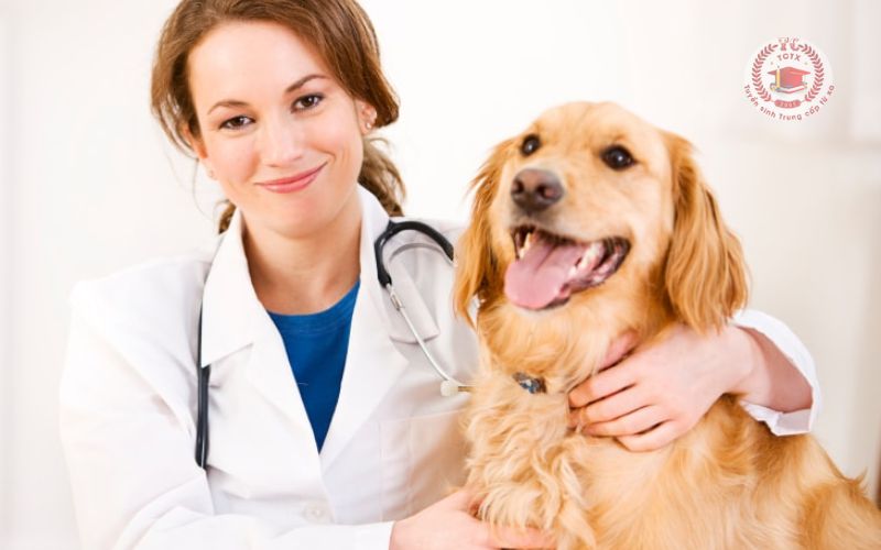 Chương trình Trung cấp Thú Y học cuối tuần học những gì?