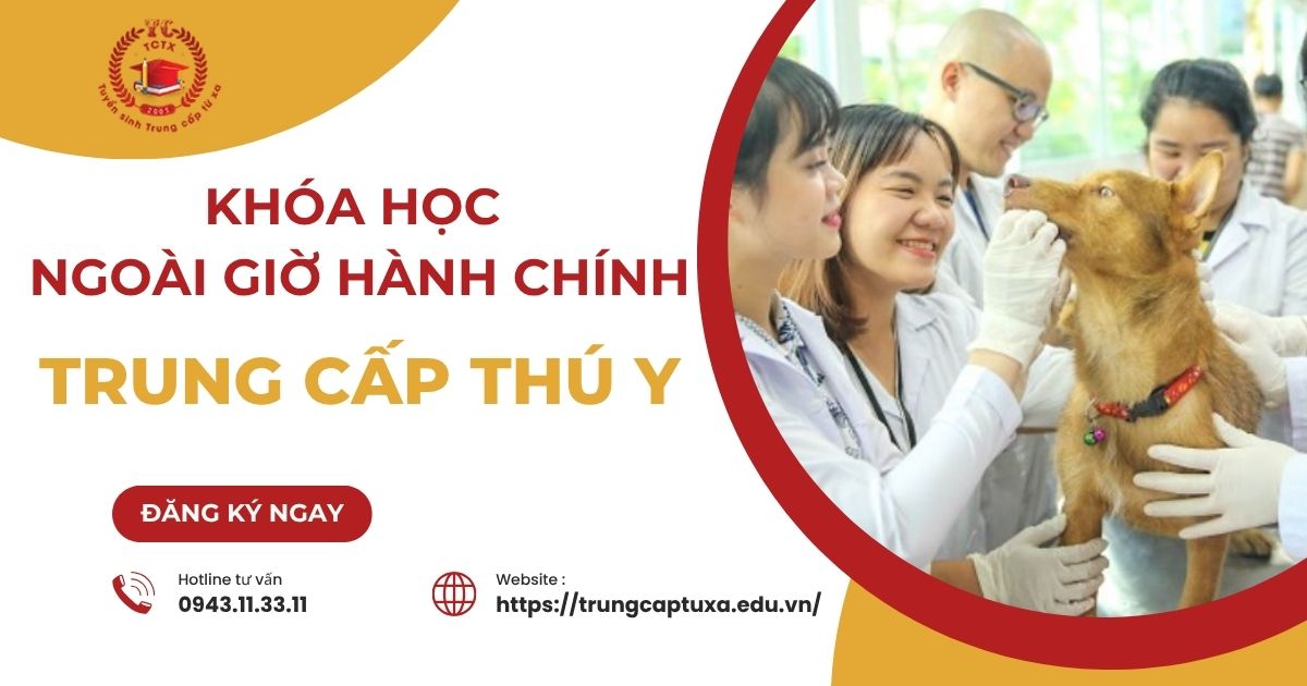 Nên học Trung cấp Thú Y học ngoài giờ hành chính dành cho người bận rộn ở đâu?