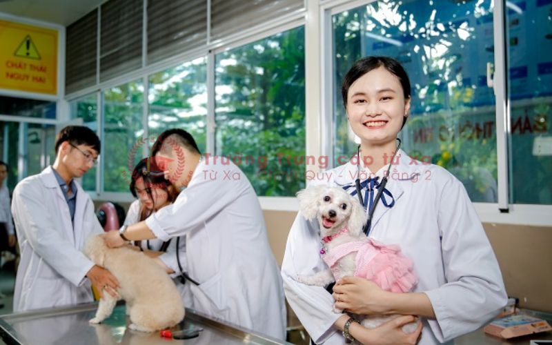 Cao đẳng ngành Thú Y học online có bằng Chính quy