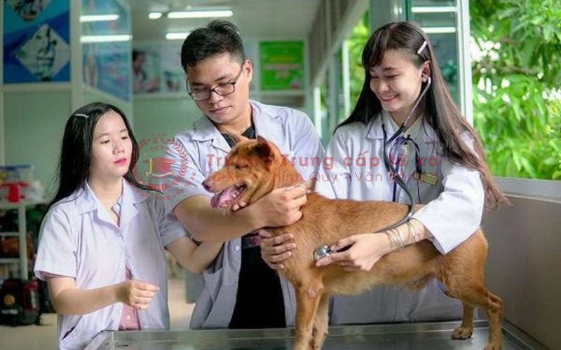 Cao đẳng ngành Thú Y học online