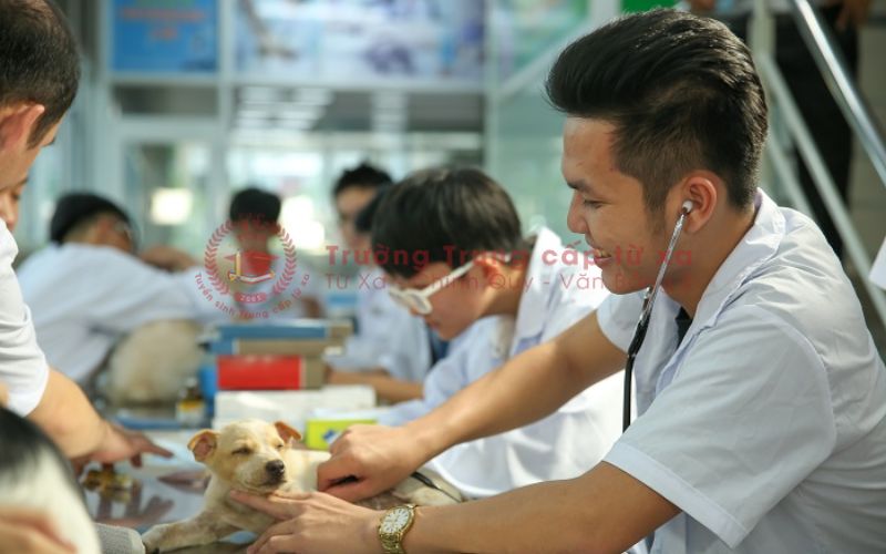 Cơ hội việc làm sau khi học Thú y ngắn hạn TPHCM